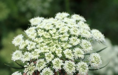 Image for article: How to keep being