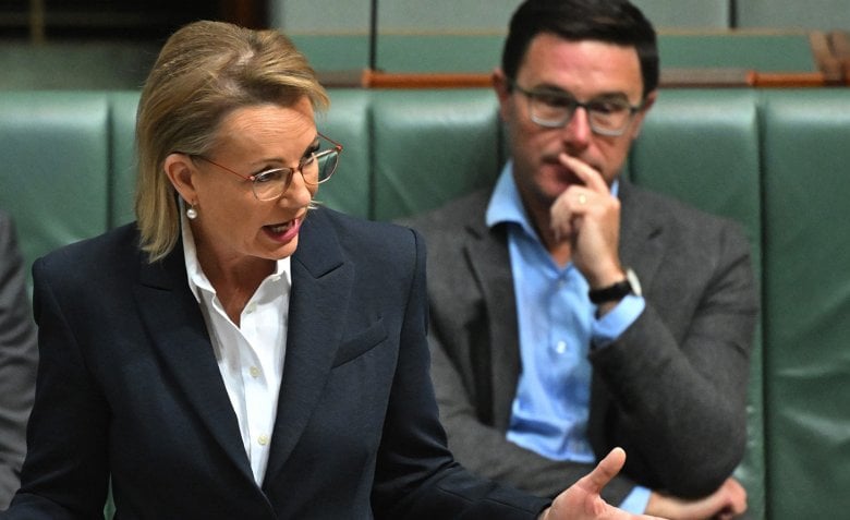 Sussan Let and David Littleproud.