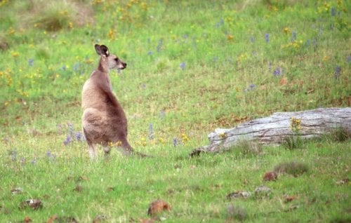 Image for article: Two poems