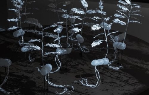 Image for article: <em>Awakening Histories</em> at PICA